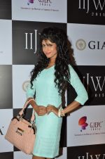 on Day 1 at IIJW 2015 on 3rd Aug 2015